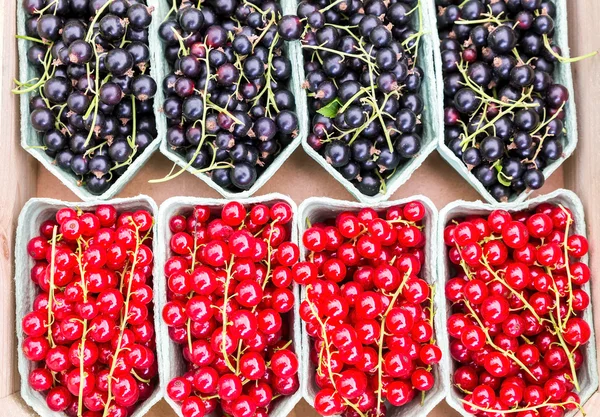 Корзины с красными ягодами и черной смородиной — стоковое фото