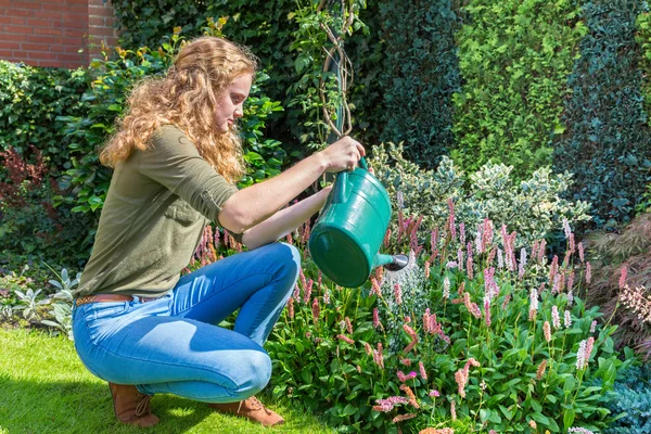 Junge Niederländerin mit Gießkanne über Blumen — Stockfoto