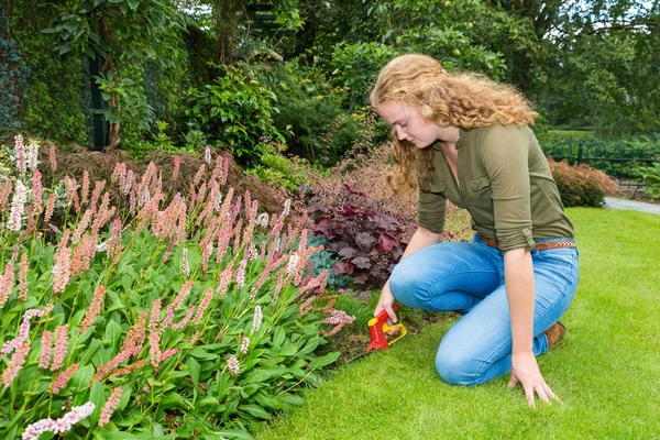 Giovane donna olandese lavora in giardino con cesoie erba — Foto Stock