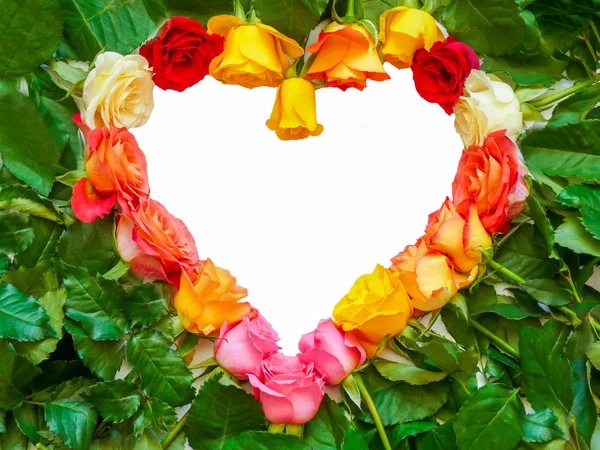 Kalp sembol renkli gül — Stok fotoğraf