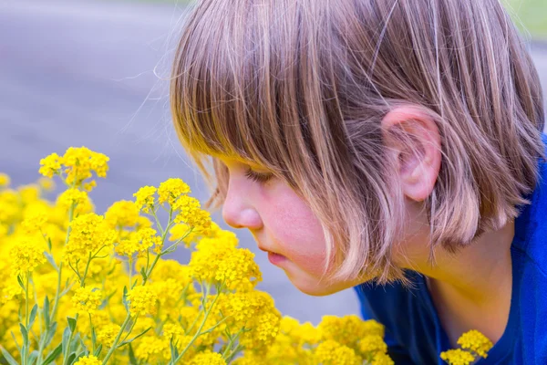 Ragazza che profuma di fiori gialli — Foto Stock