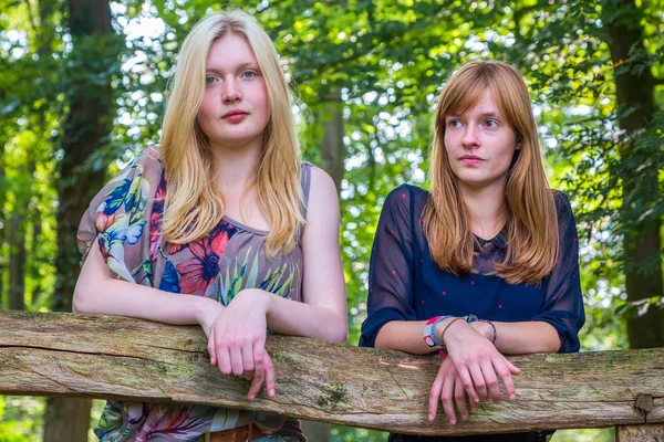 Twee meisjes leunend op houten hek in de natuur — Stockfoto