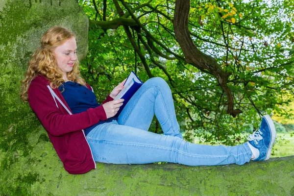 Holenderski dziewczynka leżący czytania książki w zielone drzewo — Zdjęcie stockowe
