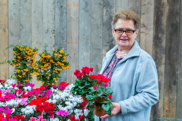 Mulher sênior segurando plantas com flores — Fotografia de Stock