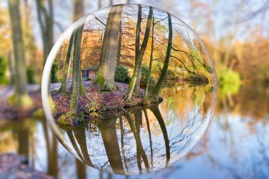 Crystal ball reflecting autumn forest with tree trunks clipart
