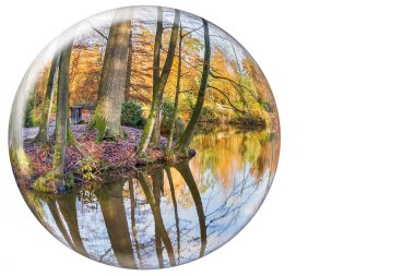 Crystal ball reflecting autumn tree trunks on white background clipart