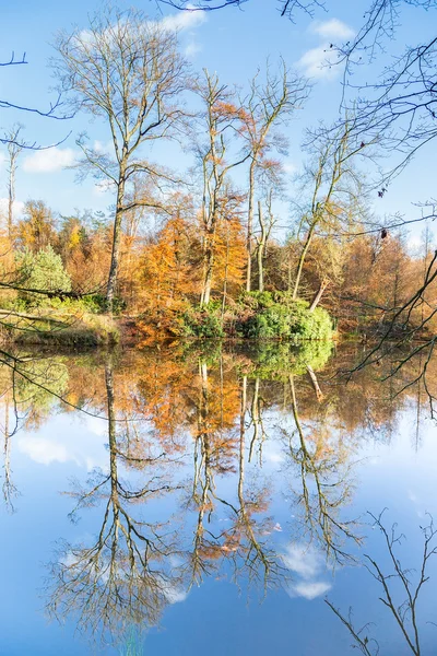 Jesień las z lustrzane odbicie w wodzie — Zdjęcie stockowe