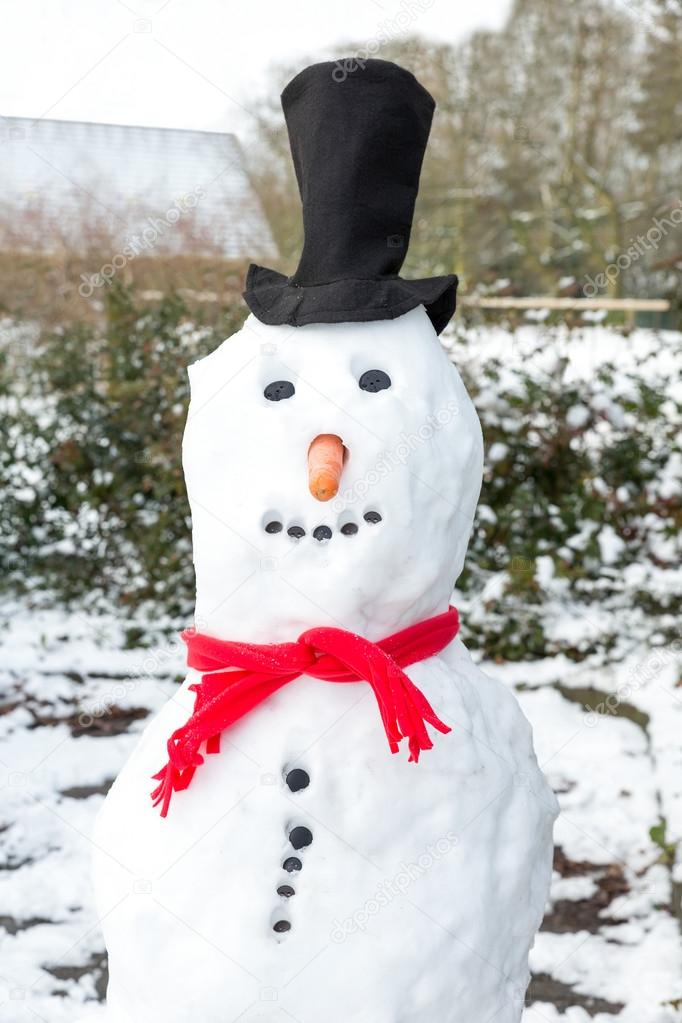Snowman wearing black hat and shawl