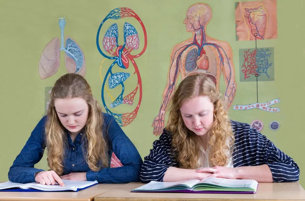 Dos niñas adolescentes holandesas leyendo libros de texto con biología cha pared —  Fotos de Stock