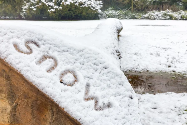 Word snow on lying tree trunk in nature — Stock Photo, Image