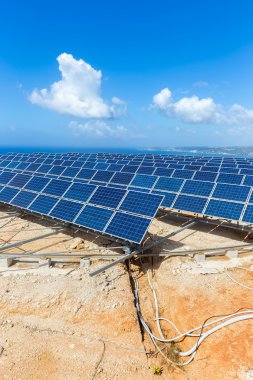 Rows of solar panels near sea with blue sky