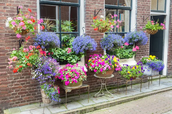 Many pottery flowers hanging at brick wall