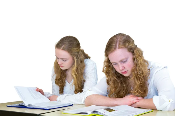 Two dutch teenage girls studying books for education — Zdjęcie stockowe