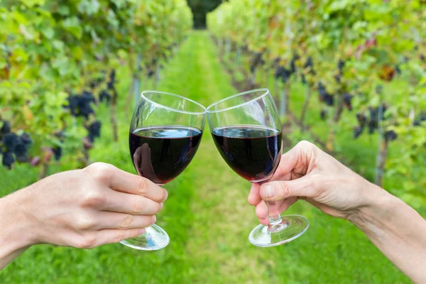 Duas mãos torradas com copos de vinho na vinha — Fotografia de Stock