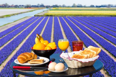 Table with food and drink near flowers field clipart