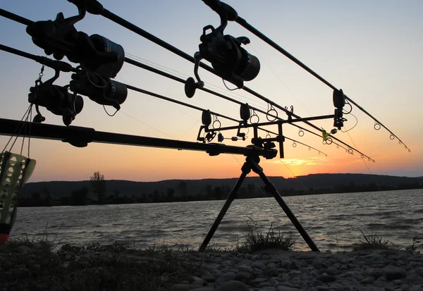 Gün batımında balıklar dönüyor. Bir balıkçının silueti.