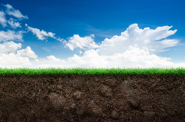 Soil and grass in blue sky