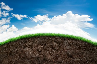 Soil and grass in blue sky clipart