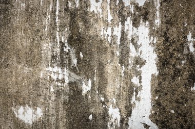 Grunge arka plan ve doku