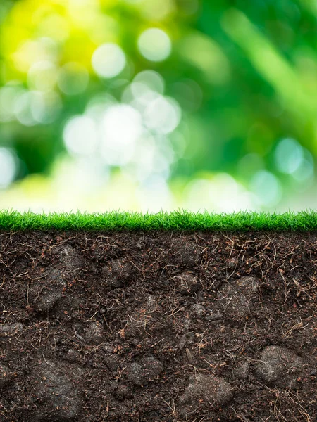 Soil with grass — Stock Photo, Image