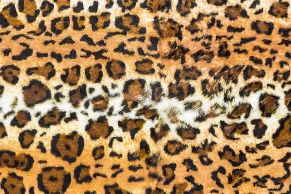 Leopar desenini gizlemek