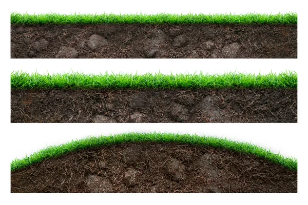 Soil and green grass — Stock Photo, Image