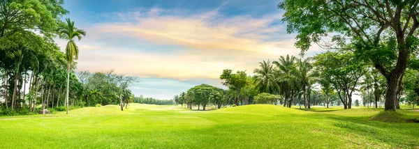 Árvore no campo de golfe — Fotografia de Stock