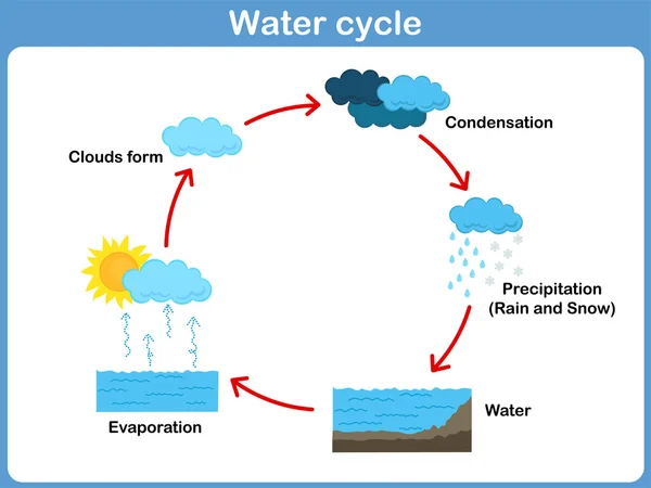 Ciclo d'acqua vettoriale per bambini — Vettoriale Stock