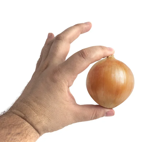 Cebolla madura en la mano de un hombre — Foto de Stock