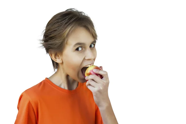Retrato casual joven comiendo manzana, contra una pared blanca — Foto de Stock