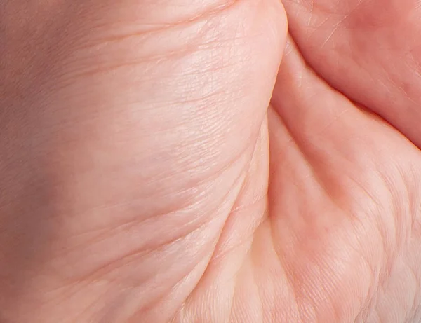 Flat human skin close up. Detail lines on woman skin
