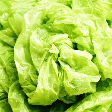 Bir sürü yeşil plastik torba arka plan