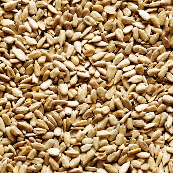 Sunflower seeds texture — Stock Photo, Image