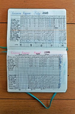 Günlük alışkanlık günlüğü tutmak iyi alışkanlıklar edinmenin kesin bir yoludur..