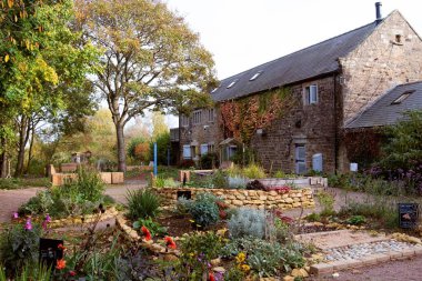 RSPB Old Moor Duyusal Bahçesi, Barnsley, Güney Yorkshire, İngiltere, 28 Ekim 2020.