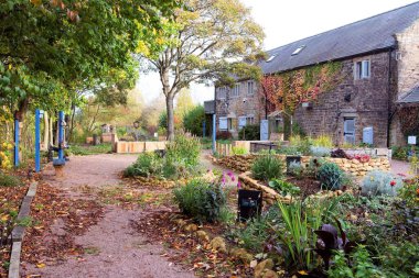 RSPB Old Moor Duyusal Bahçesi, Barnsley, Güney Yorkshire, İngiltere, 28 Ekim 2020.