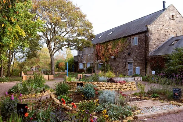 Rspb Old Moor Sensory Garden Barnsley Jižní Yorkshire Anglie Středu — Stock fotografie