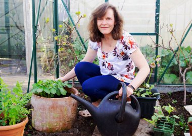 Kaplarda yetişen patates ve diğer sebzeleri sulayan bir kadını yakalamak..