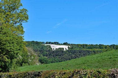 The Kilburn White Horse can be seen for miles around and is said to be the largest and most northerly hill figure in England. clipart