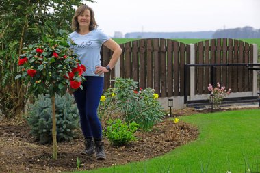 Mart 2026 'da standart bir kamelyayı tam çiçekle yakalamak..