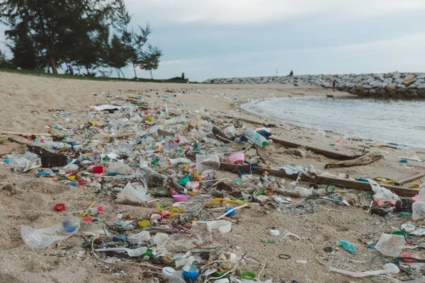 Müll Strand Schmutziges Meer Sandig Müll Strand Plastikflasche Liebe Die — Stockfoto