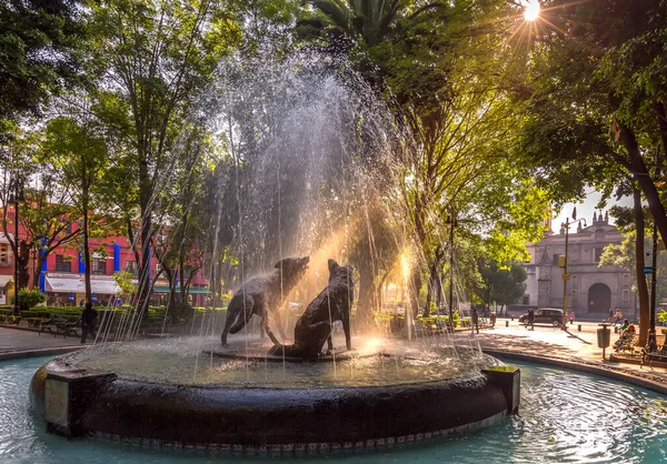 Krásné Coyoacan ulice a domy v historické čtvrti, která hostí Frida Khalo muzeum a autentické mexické restaurace — Stock fotografie