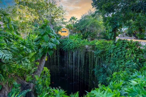 Cenote Ik Kil situado en el centro norte de la península de Yucatán, una parte del Parque Arqueológico Ik Kil cerca de Chichén Itzá — Foto de Stock