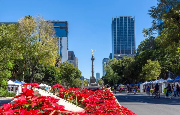Mexico City Financial center and business district close to Paseo De Reforma and Angel of Independence landmark column — Stock Photo, Image