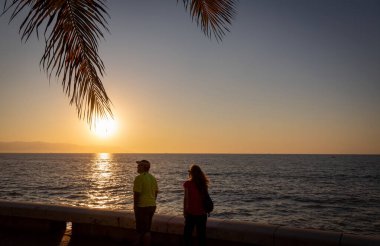 Ünlü Puerto Vallarta deniz gezisi, El Malecon, okyanus gözcüleri, plajlar, manzaralı oteller ve şehir manzaralı