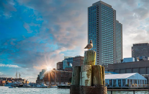 Vistas panorámicas al puerto de Boston y a la ciudad — Foto de Stock