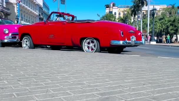 Slavné barevné taxíky v Havaně čeká na turisty, aby se projeli v historickém autě kolem hlavních turistických atrakcí města — Stock video