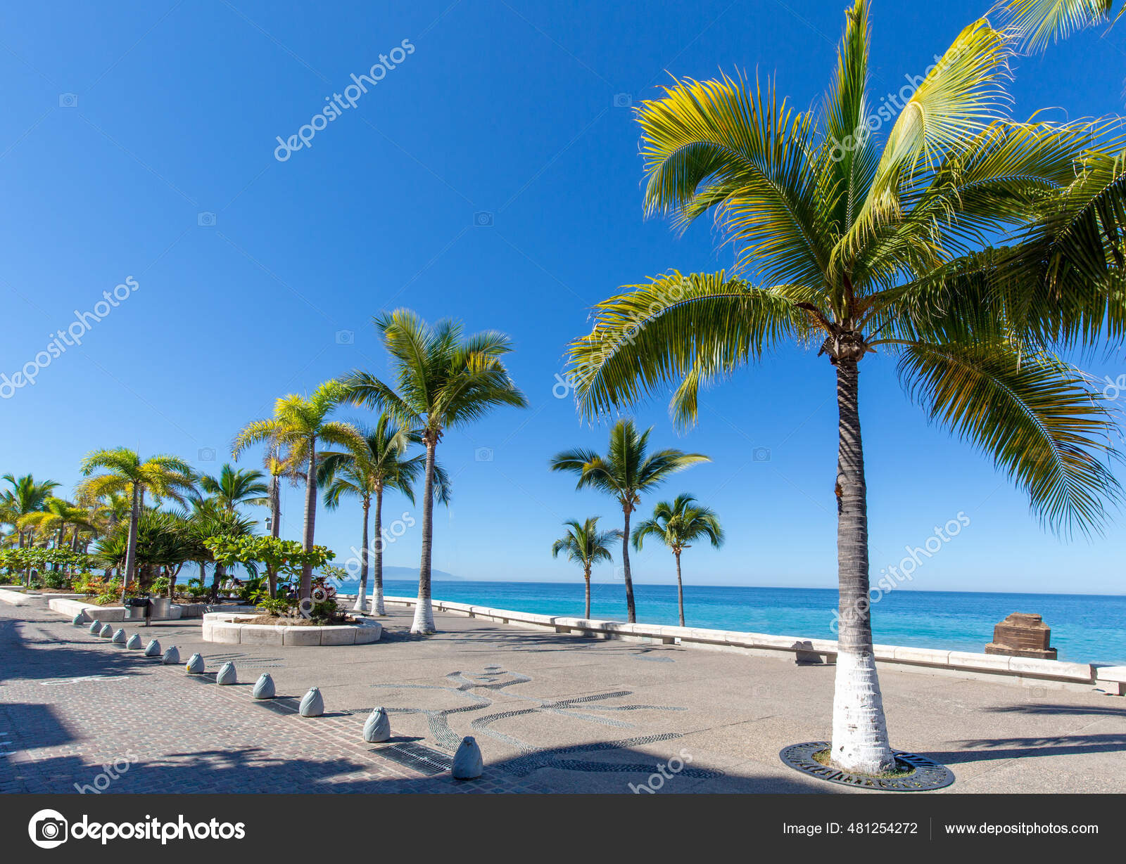Puerto vallarta malecon fotos de stock, imágenes de Puerto vallarta malecon sin royalties | Depositphotos Puerto vallarta malecon fotos de stock, imágenes de Puerto vallarta malecon sin royalties | Depositphotos