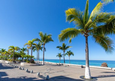 Famous Puerto Vallarta sea promenade, El Malecon, with ocean lookouts, beaches, scenic landscapes hotels and city views clipart