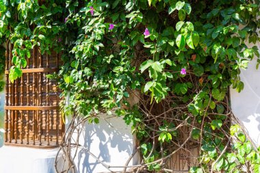 Kolombiya, Kartagena 'nın tarihi Getsemani bölgesinde renkli sokaklar, UNESCO' nun dünya mirası olan Ciudad Amurallada,